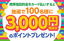【スマイルパーソナル】携帯電話料金をカード払いすると3,000円相当分のポイントプレゼント!
